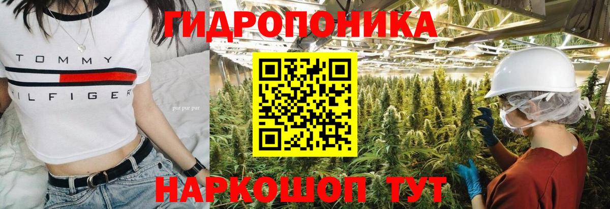 Марихуана OG Kush Обь